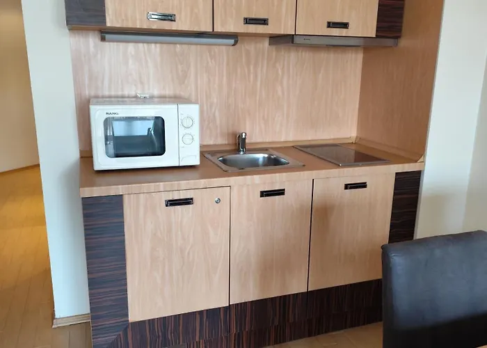 Joy Majestic Sunny Beach